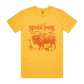 Baddlands Bison